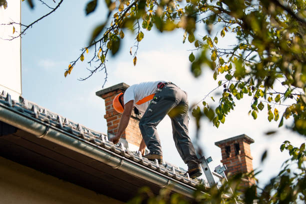 Best Flat Roof Repair Services  in Warm Springs, OR